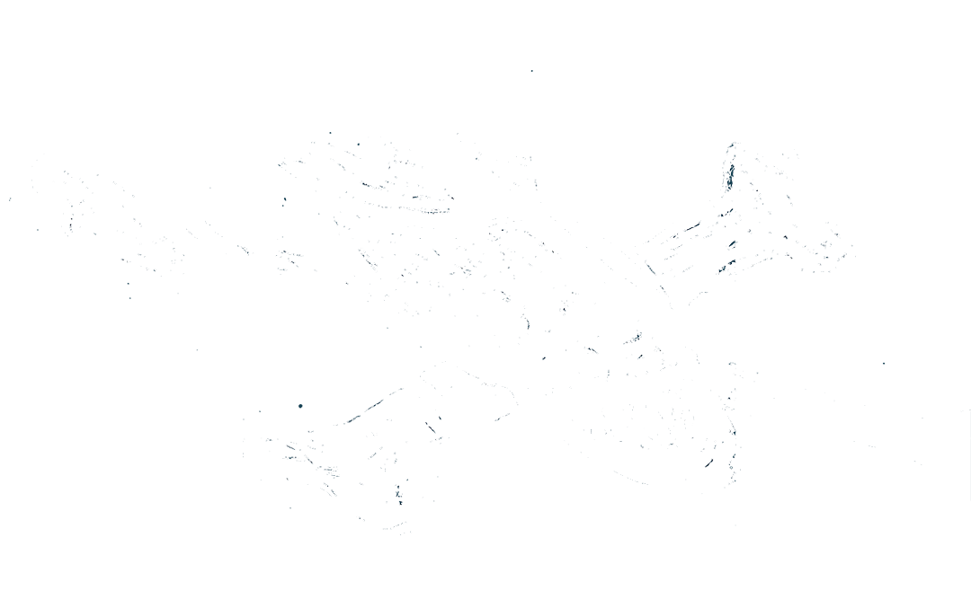 xerion