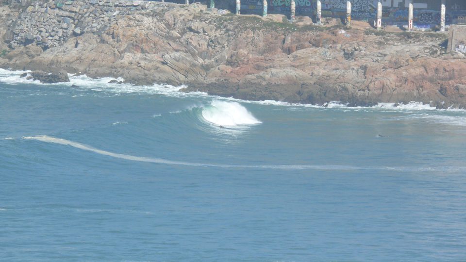olas-orzan-2