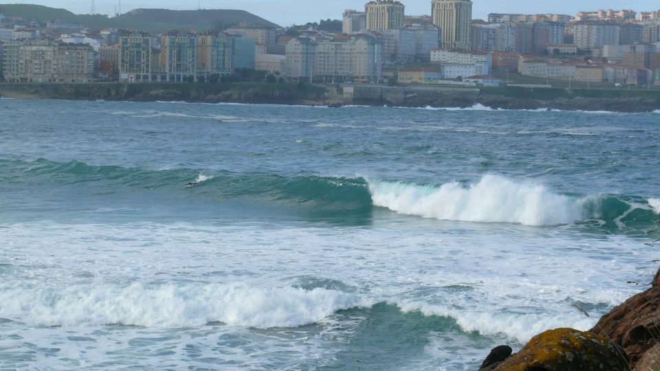 olas-orzan-3