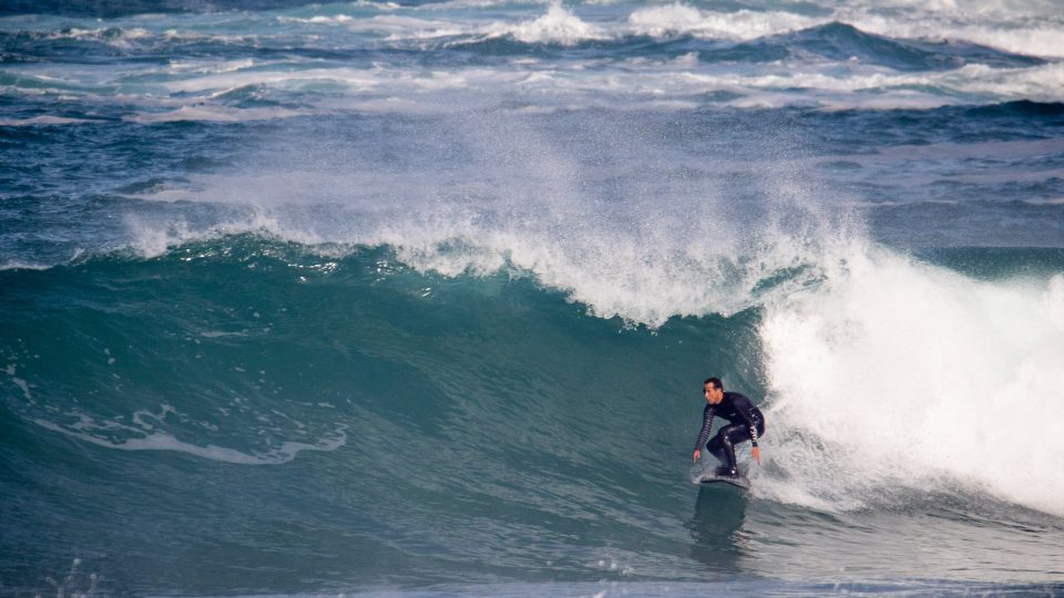 surfista-king-and-queen-of-the-bay
